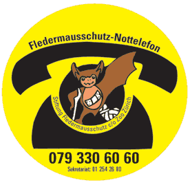 https://www.veltheim.ch/upload/dateien/Vereine/Fledermaus%20Nottelefon.GIF